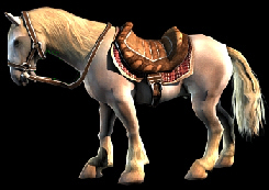 cheval_01.jpg