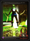 nether_allegiance_2_T.jpg